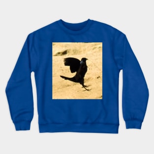 Avian ballet practice Crewneck Sweatshirt